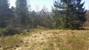 20160420_160404