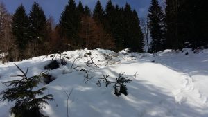20160428_165258