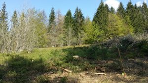 20160507_170313
