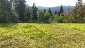 20160527_175826 - Copy