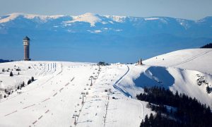 Feldberg