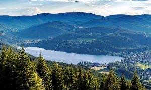 Titisee top view